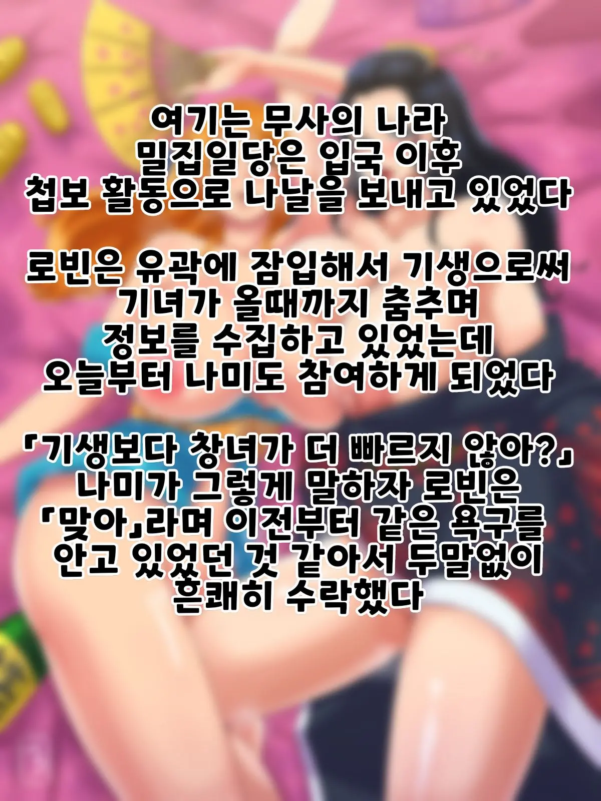 무사의 나라 나미&로빈【신규 한정 대사 포함 SS8장】
